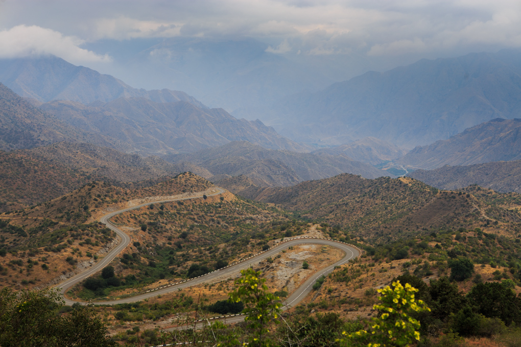Shvanidzor
